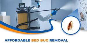 vishnu pestinspection